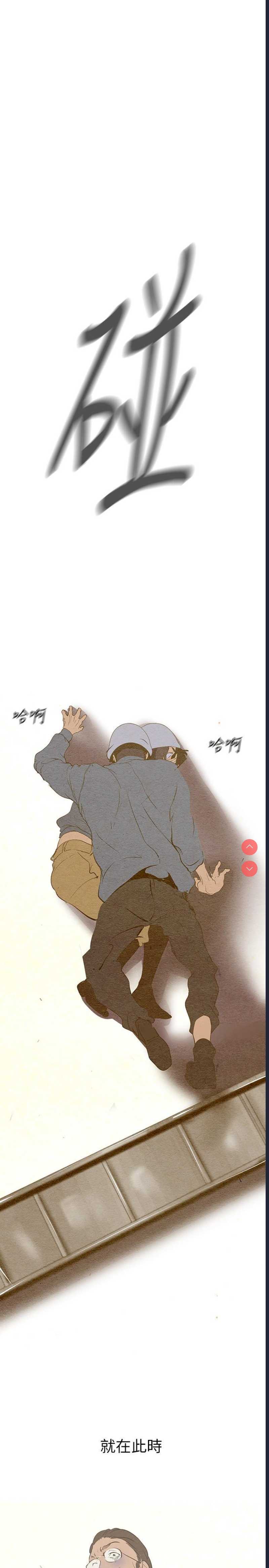 美丽新世界