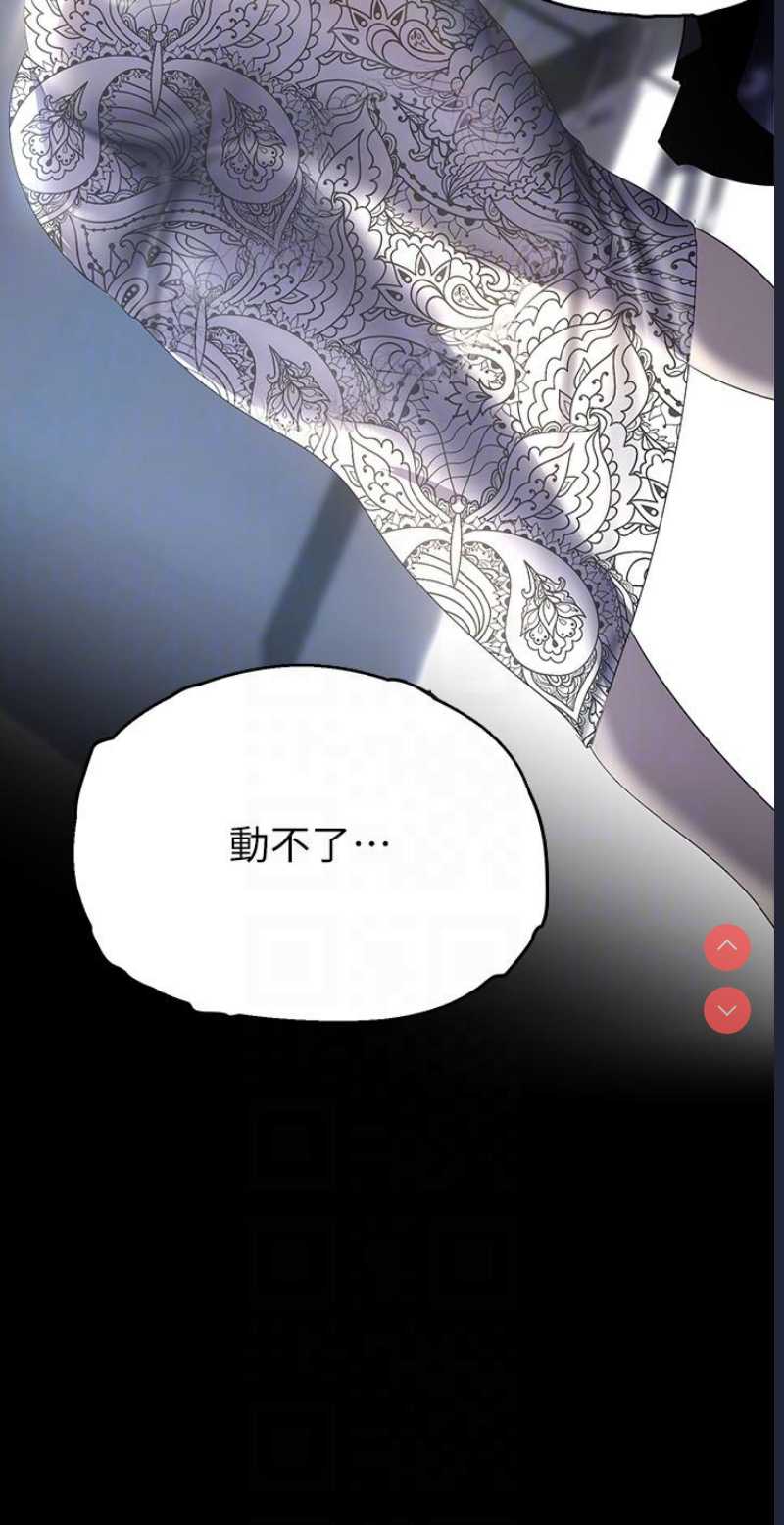 美丽新世界