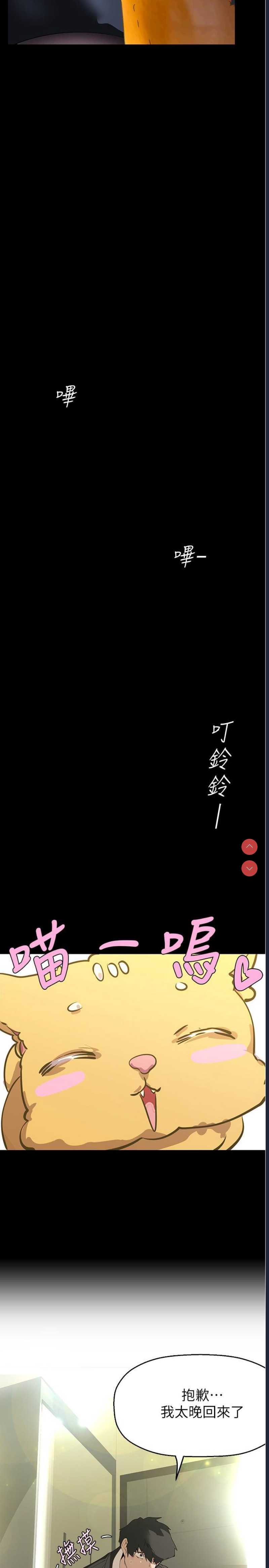 美丽新世界