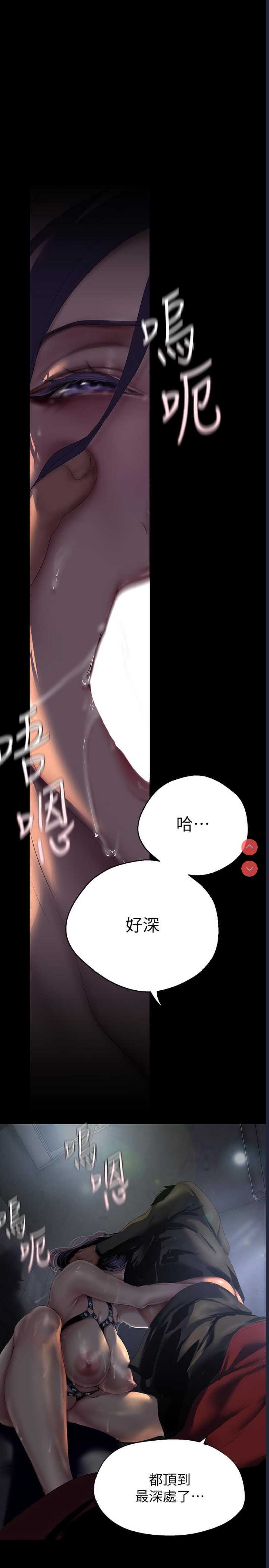 美丽新世界