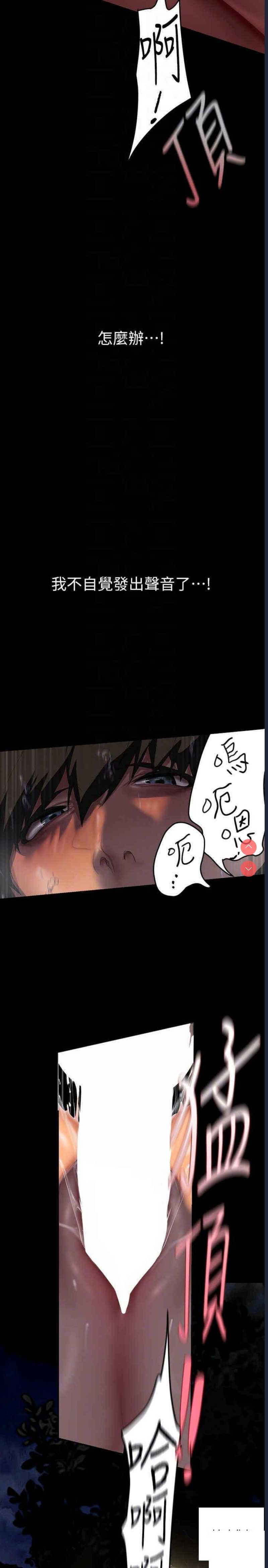 美丽新世界