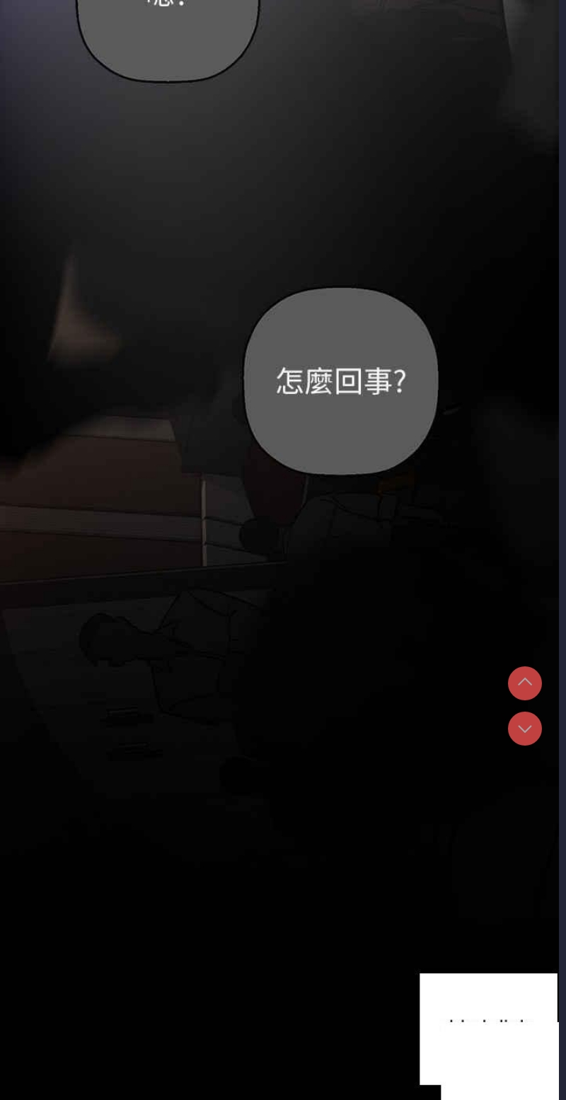 美丽新世界