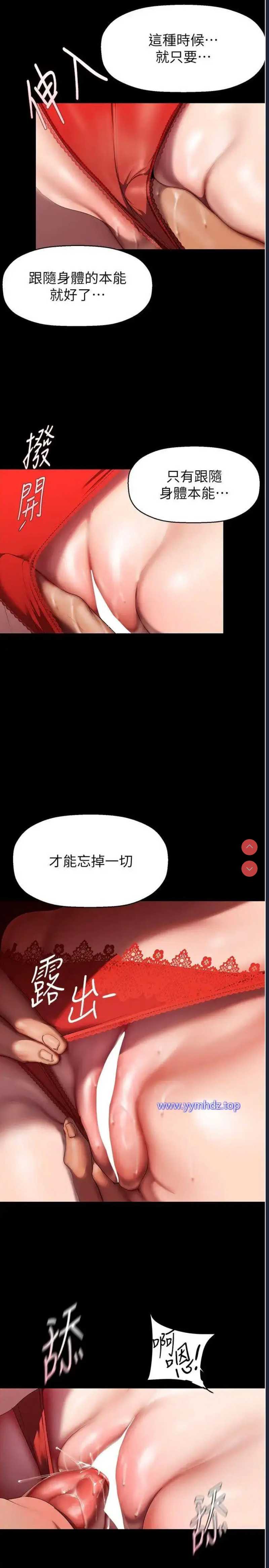 美丽新世界
