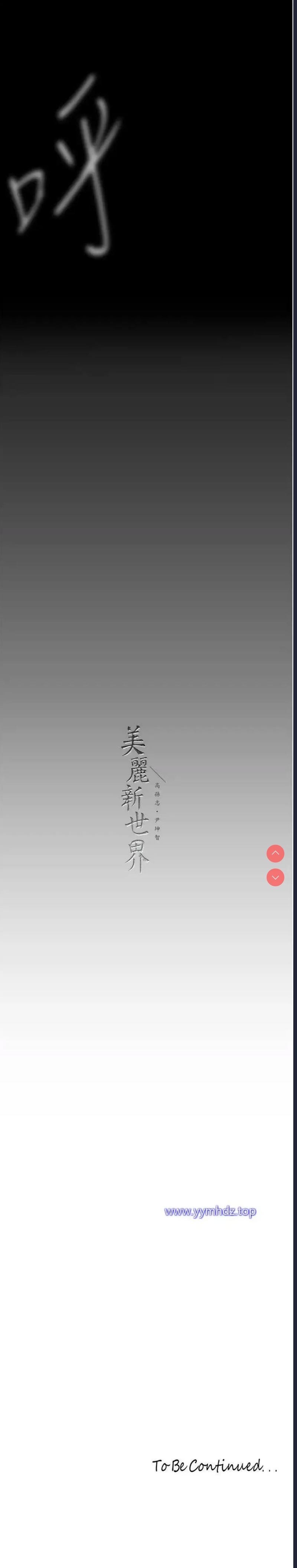 美丽新世界