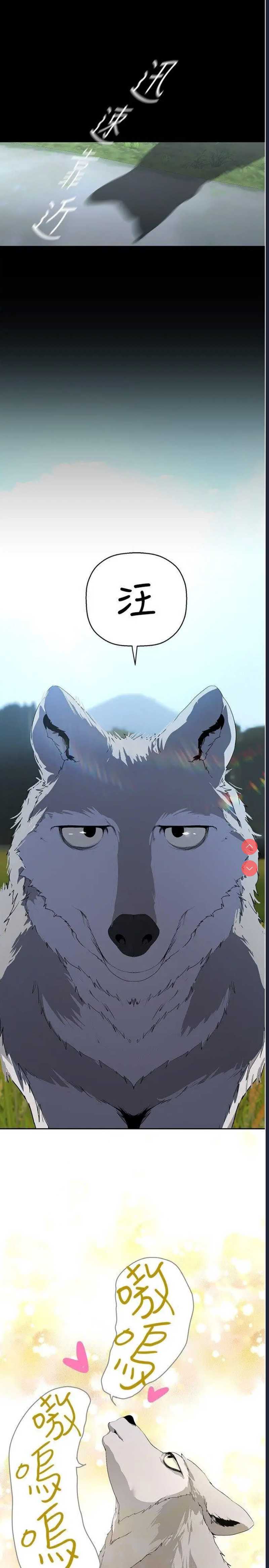 美丽新世界