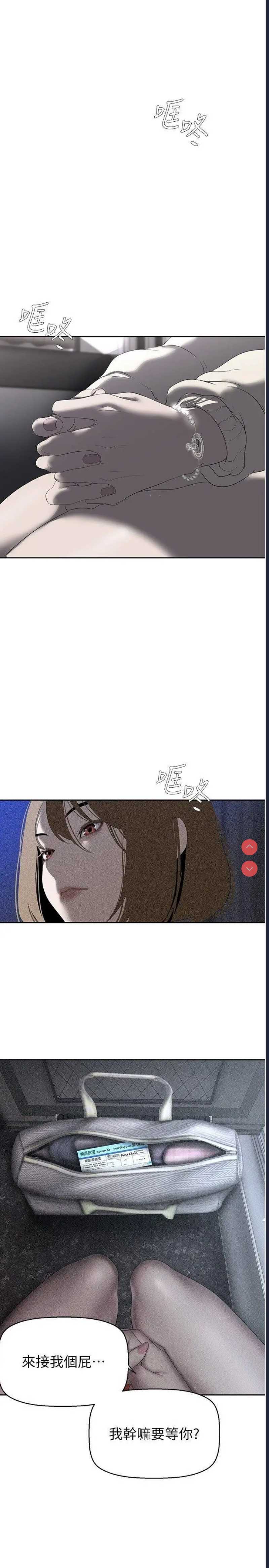 美丽新世界