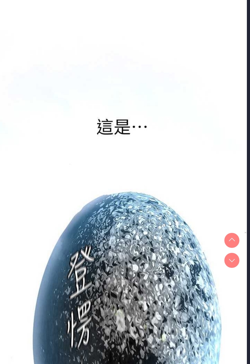 美丽新世界