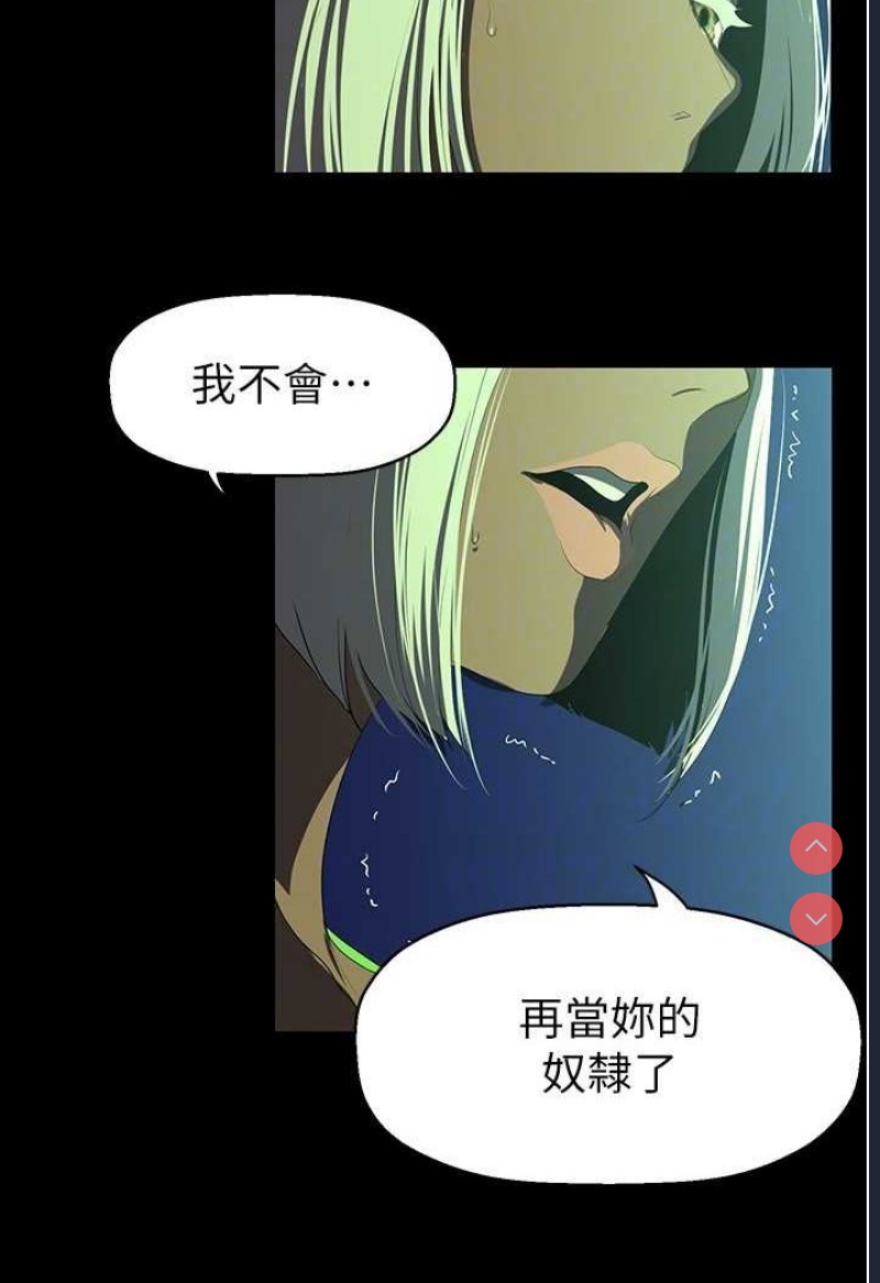 美丽新世界
