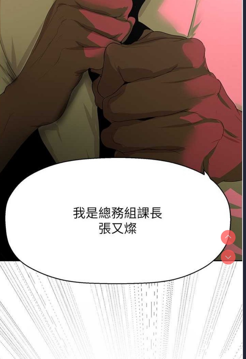 美丽新世界