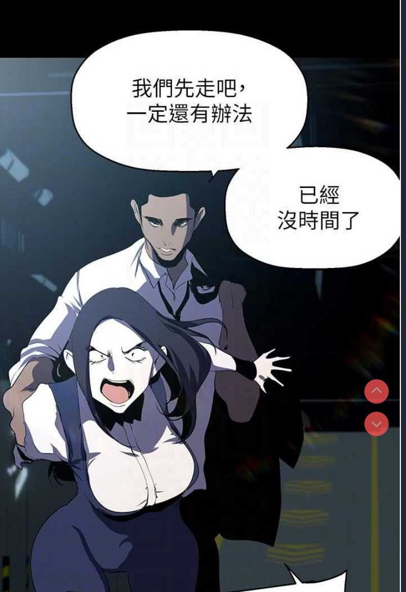 美丽新世界