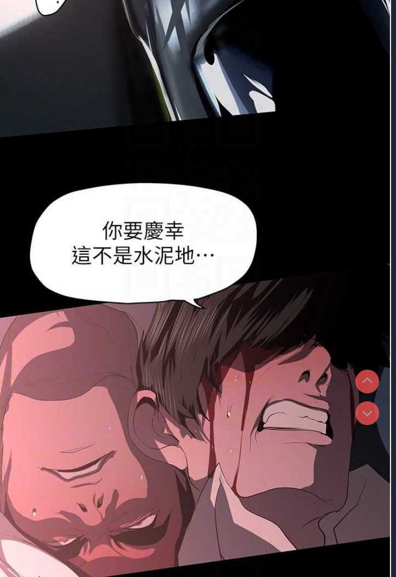 美丽新世界