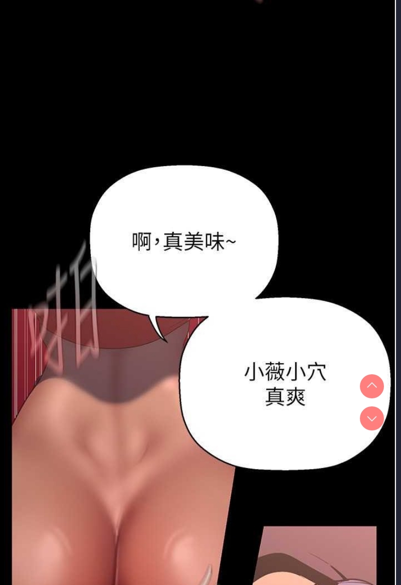 美丽新世界