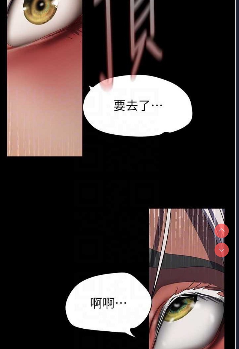 美丽新世界