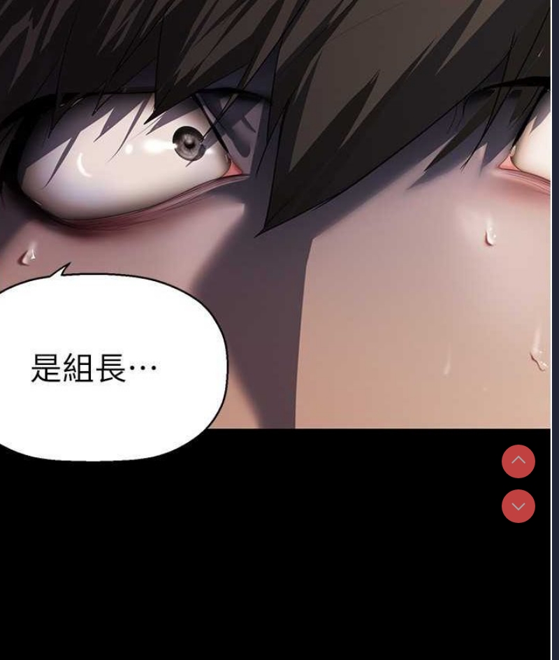 美丽新世界