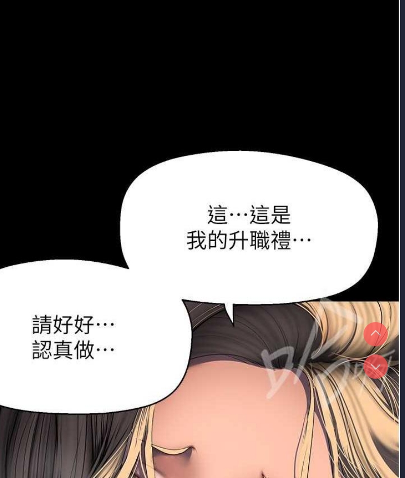 美丽新世界