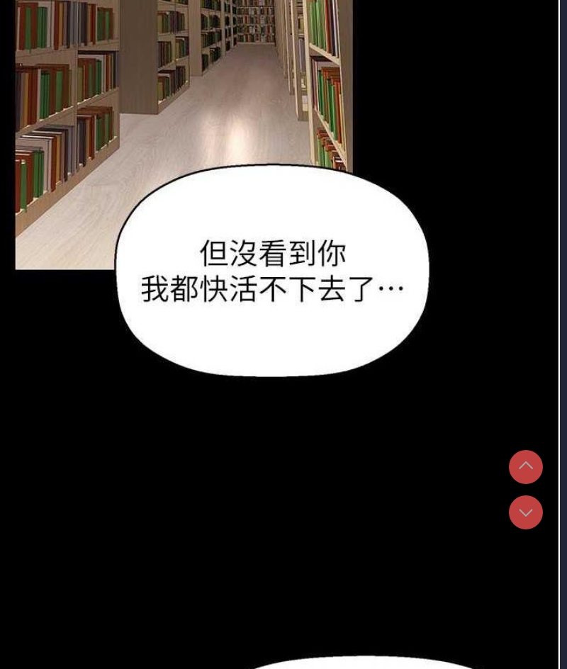 美丽新世界