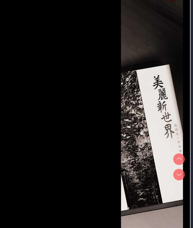 美丽新世界