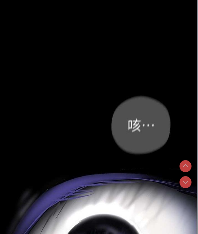 美丽新世界
