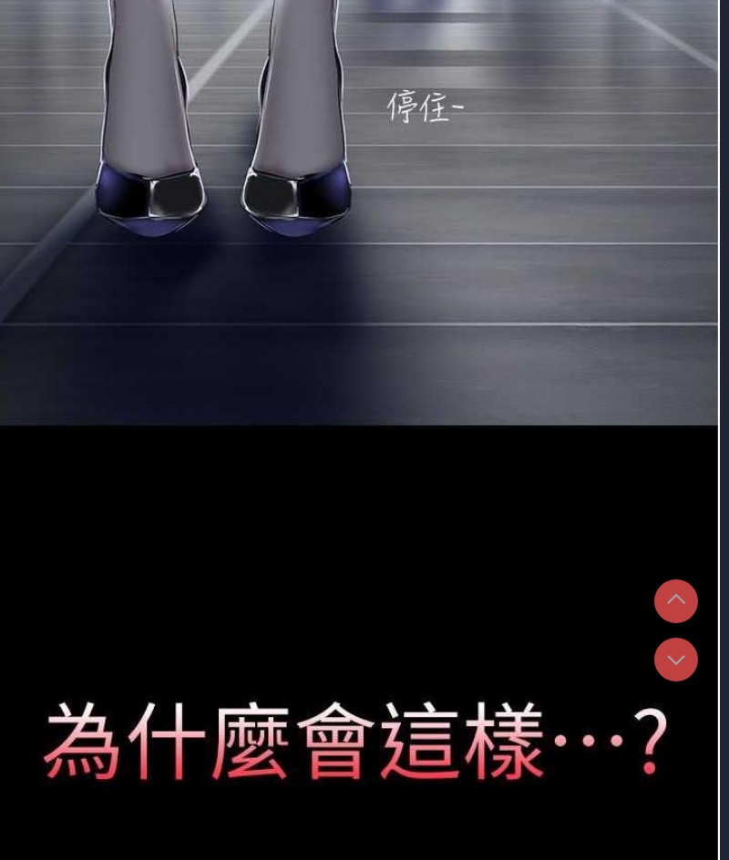美丽新世界