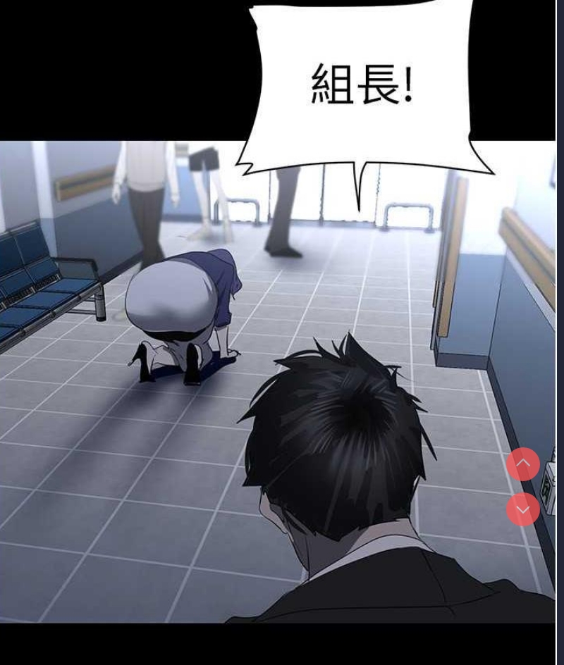 美丽新世界