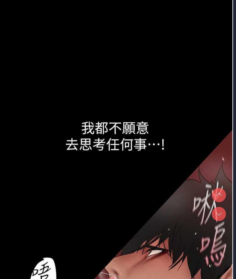 美丽新世界
