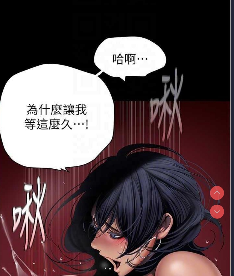美丽新世界