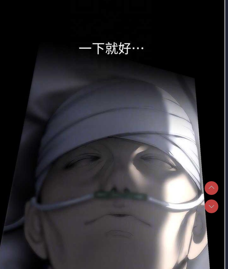 美丽新世界