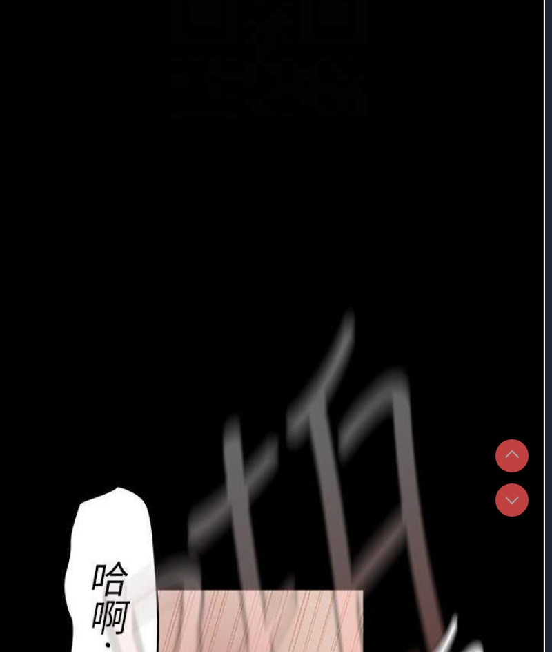 美丽新世界