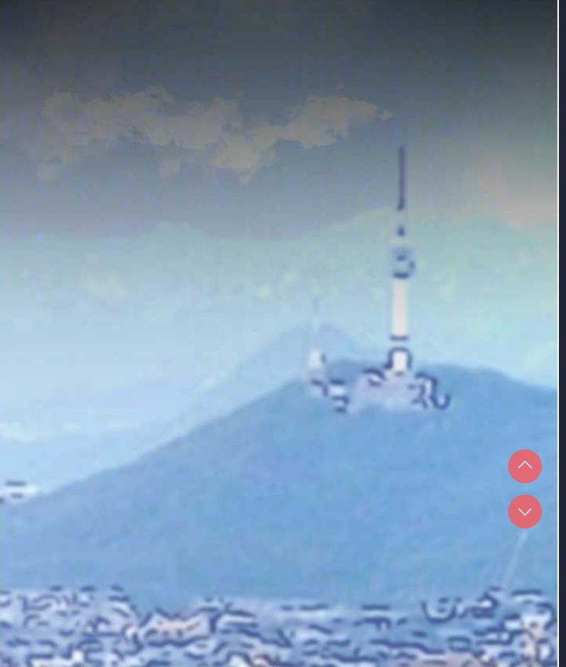 美丽新世界