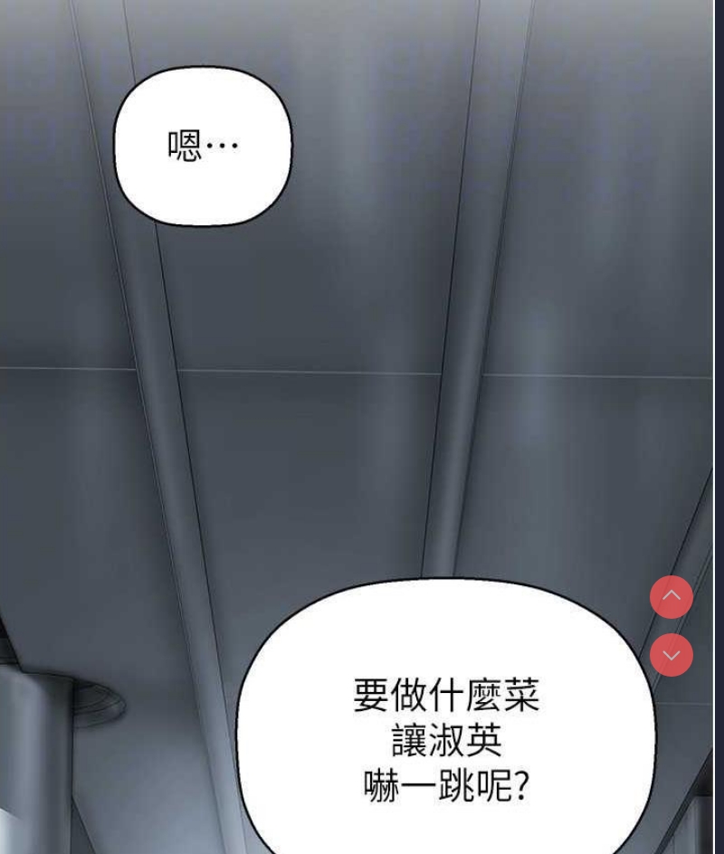 美丽新世界