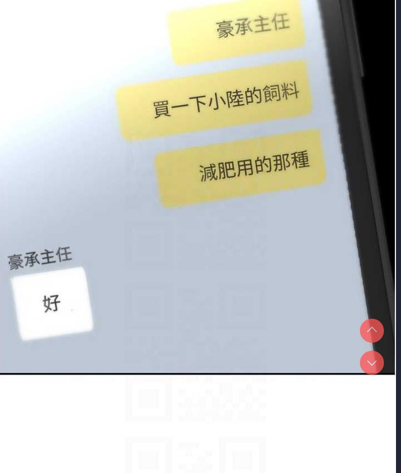 美丽新世界