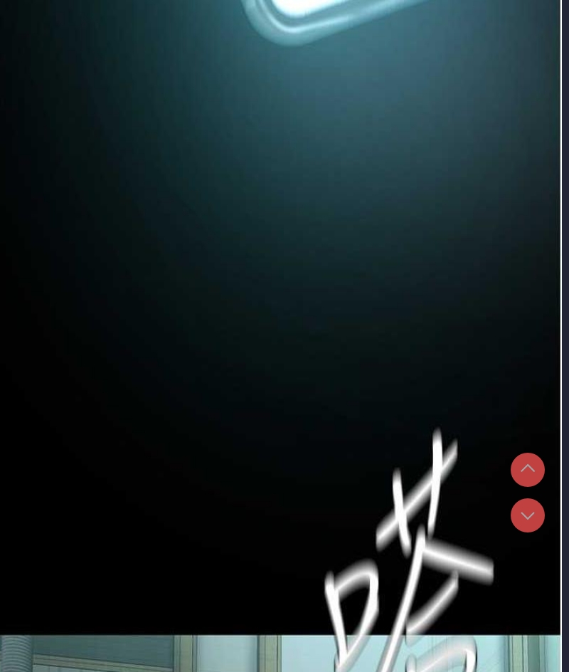 美丽新世界