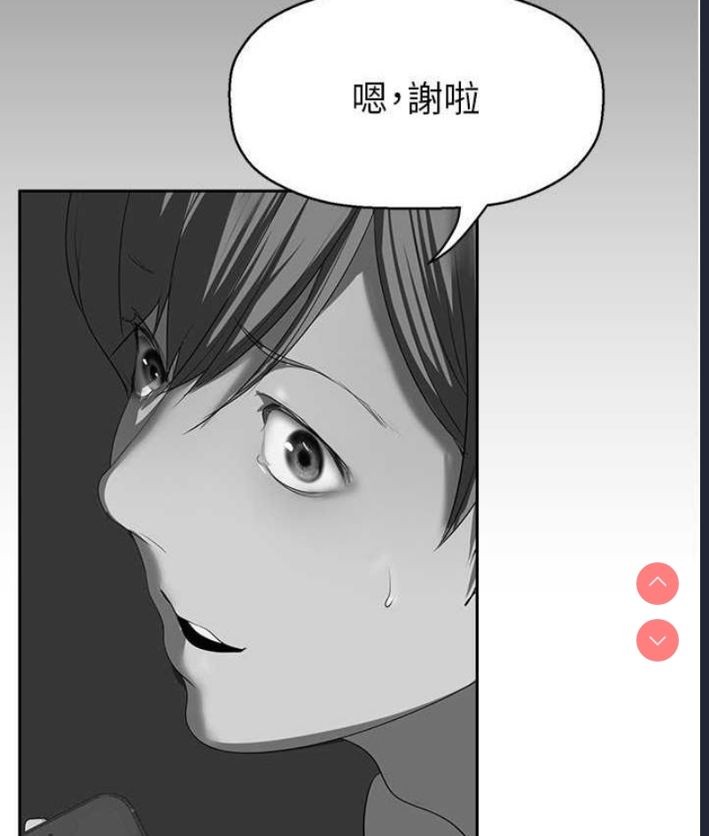美丽新世界