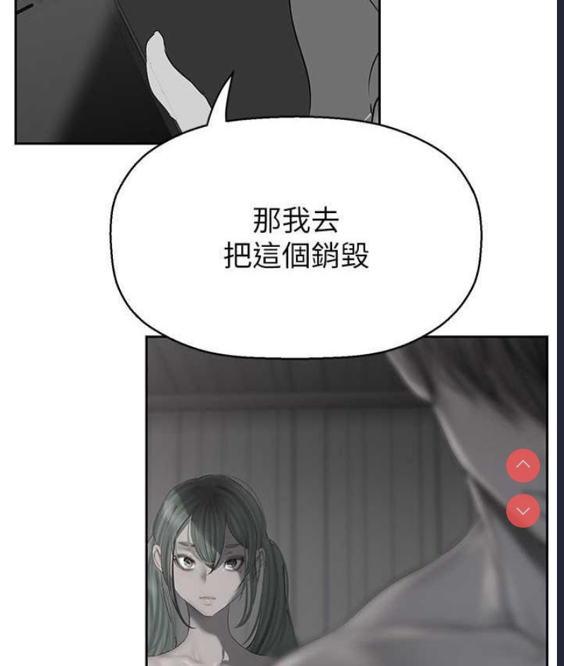 美丽新世界