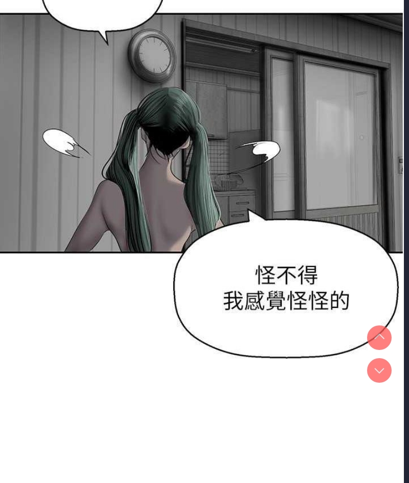 美丽新世界