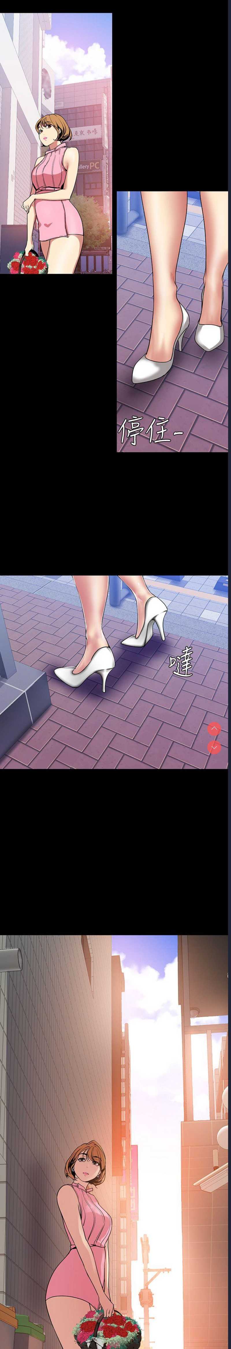 美丽新世界