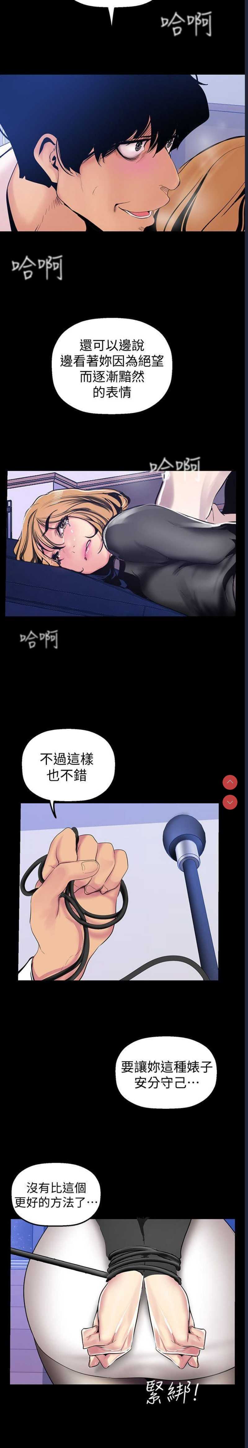 美丽新世界