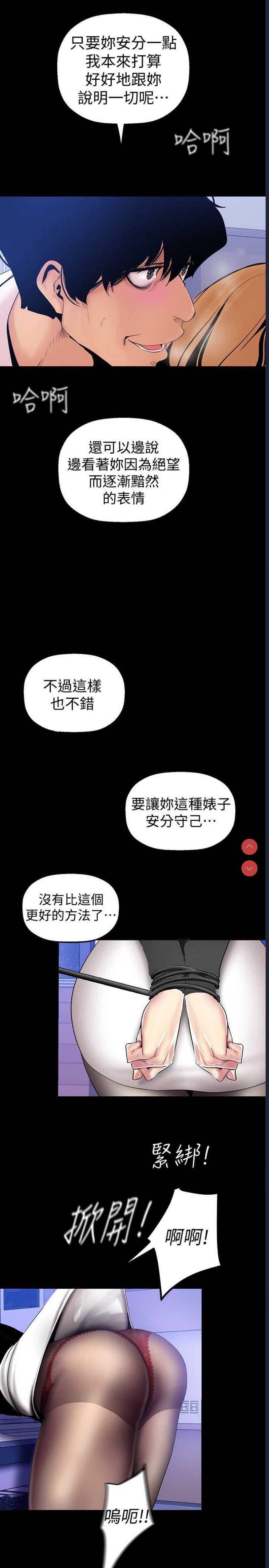美丽新世界