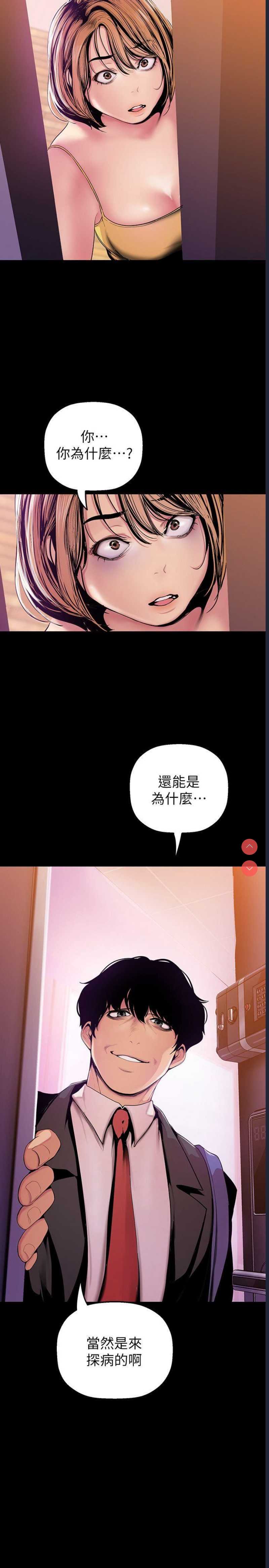 美丽新世界