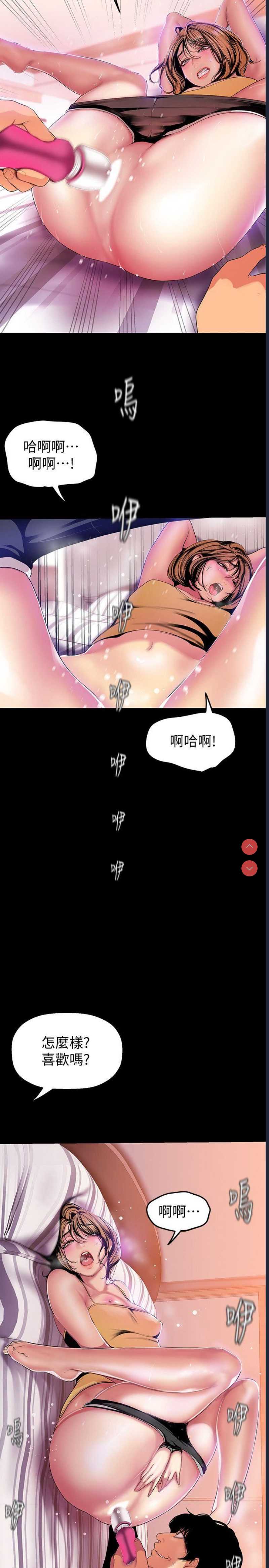 美丽新世界