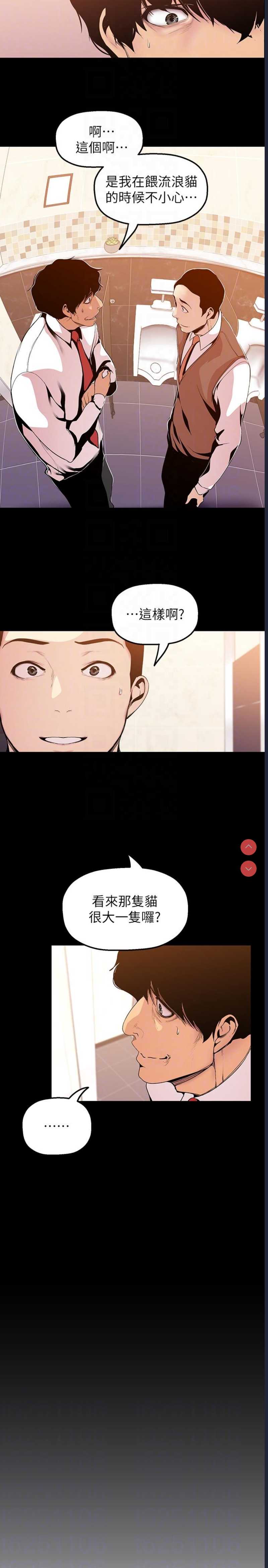 美丽新世界