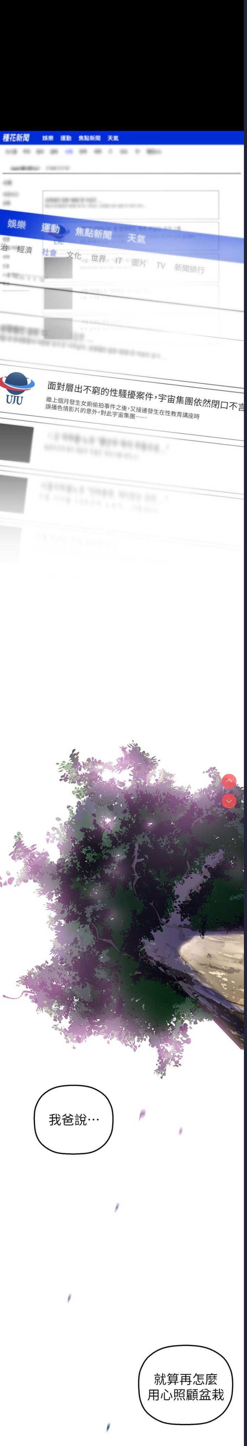 美丽新世界
