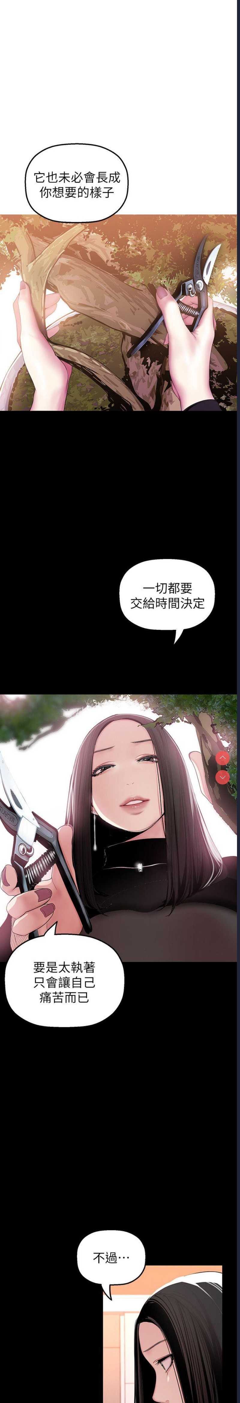 美丽新世界