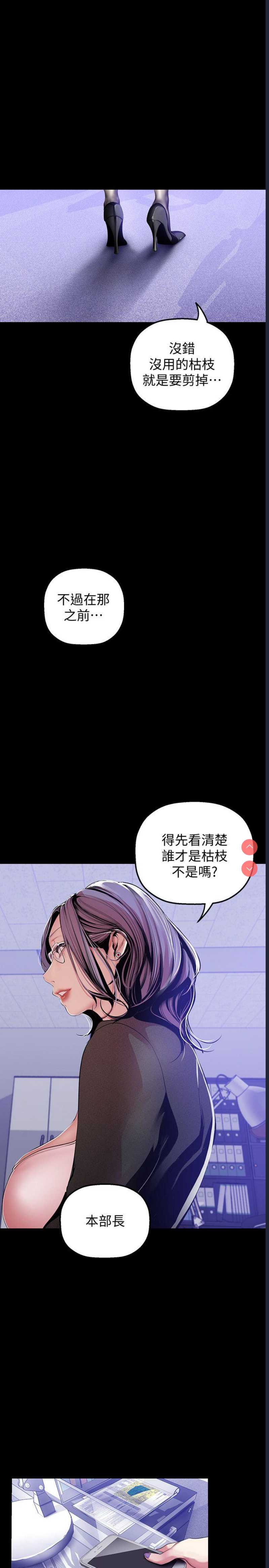 美丽新世界