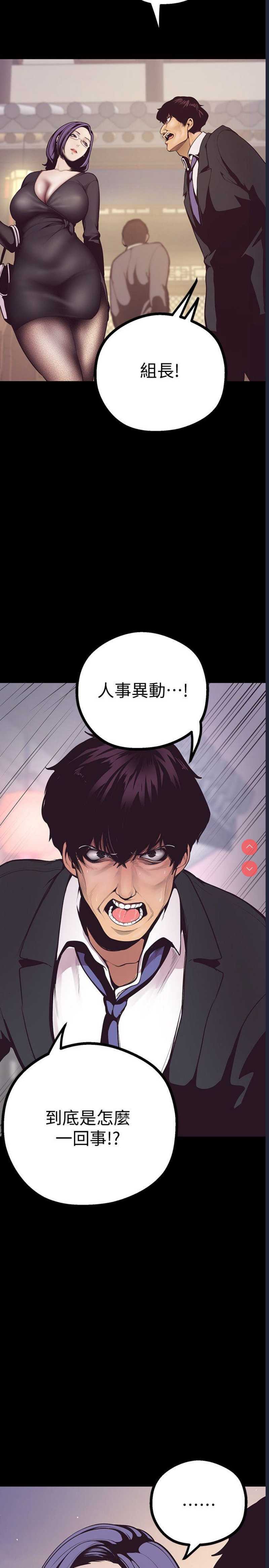 美丽新世界