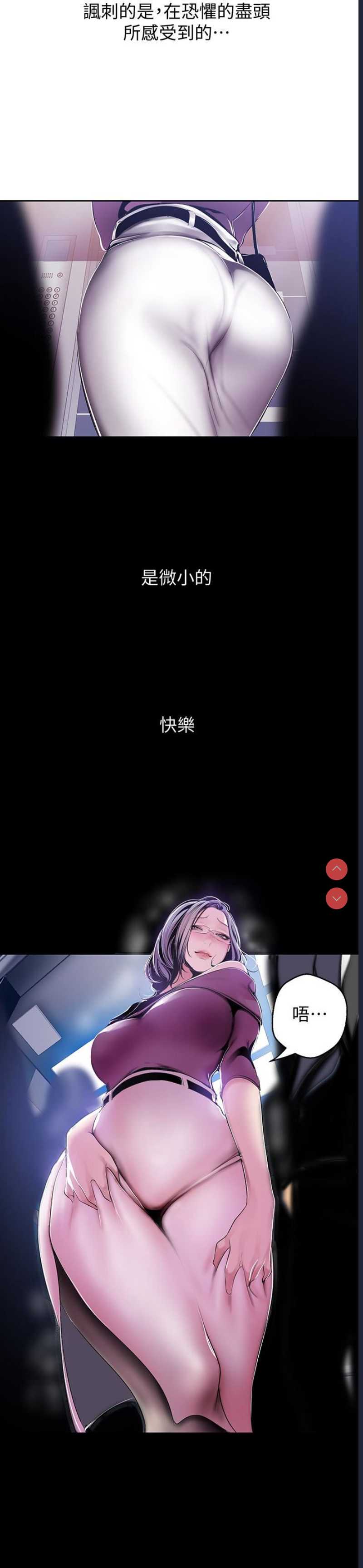 美丽新世界