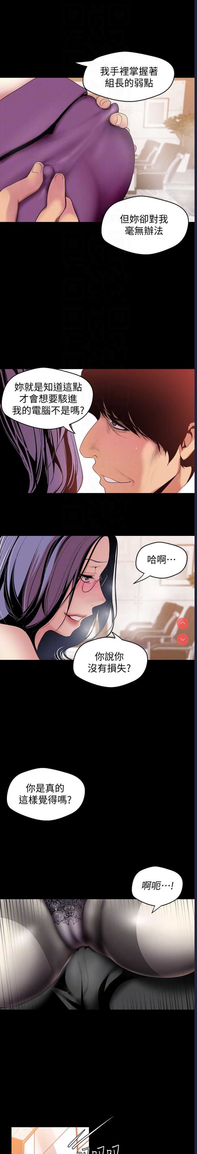 美丽新世界