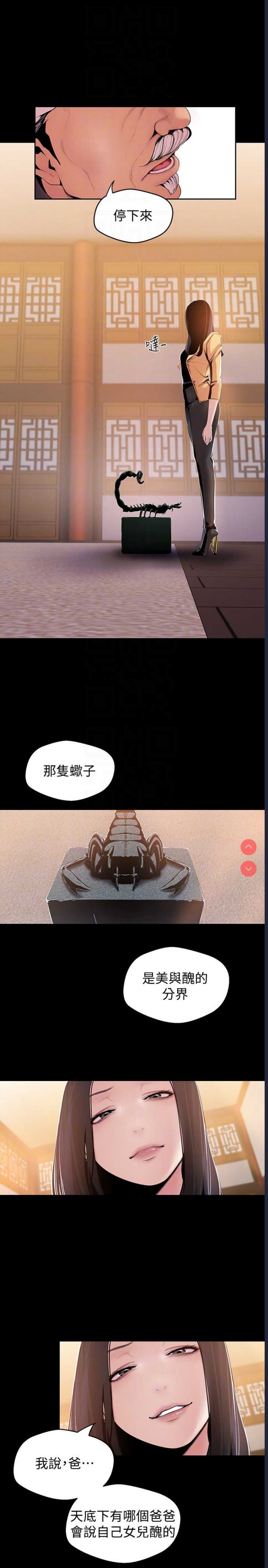 美丽新世界