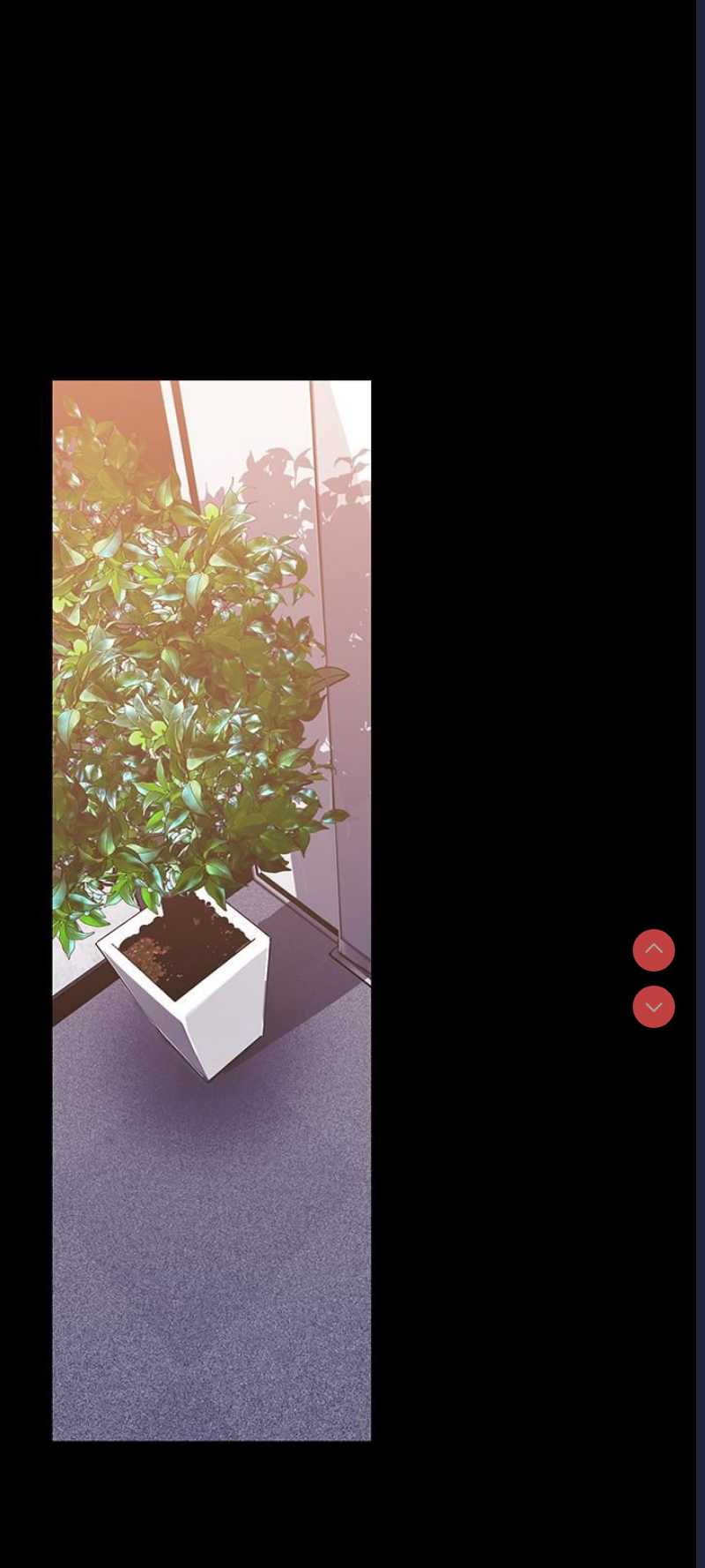 美丽新世界