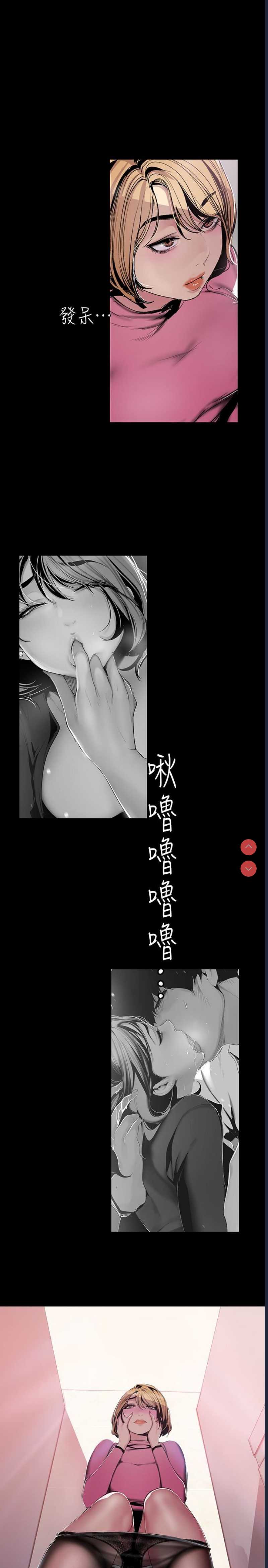 美丽新世界